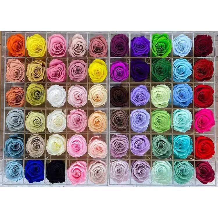 Trandafiri conservați